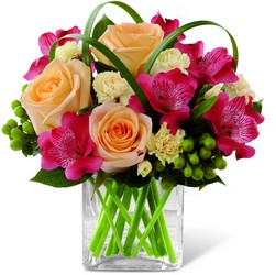 The FTD All Aglow Bouquet by Better Homes and Gardens from Arthur Pfeil Smart Flowers in San Antonio, TX